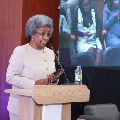 MESCTI REALIZA CONSELHO NACIONAL DO ENSINO SUPERIOR E CONSELHO NACIONAL DE CIÊNCIA, TECNOLOGIA E INOVAÇÃO