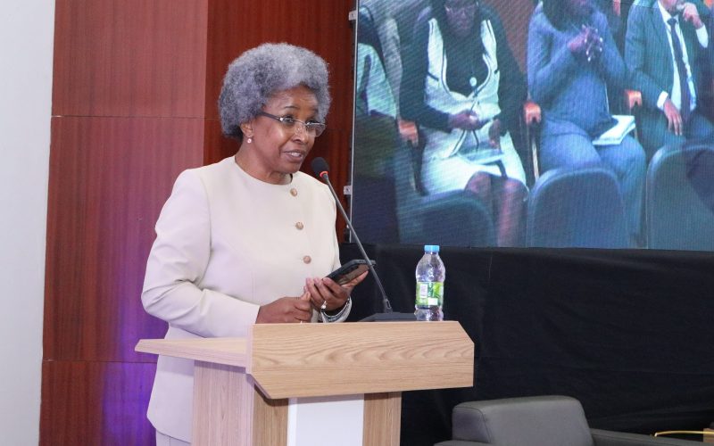 MESCTI REALIZA CONSELHO NACIONAL DO ENSINO SUPERIOR E CONSELHO NACIONAL DE CIÊNCIA, TECNOLOGIA E INOVAÇÃO