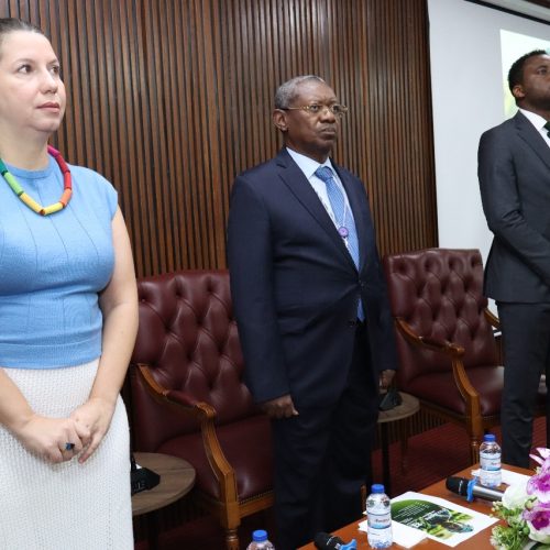 Um Olhar da Academia para a Transparência e o Futuro Econômico de Angola