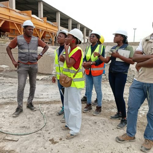 Faculdade de Ciências de Engenharias e Tecnologias: Qualidade e Excelência Para o Desenvolvimento de Angola